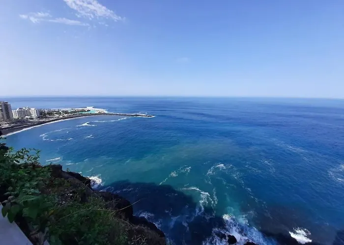 Ocean Orchidea プエルト・デ・ラ・クルス