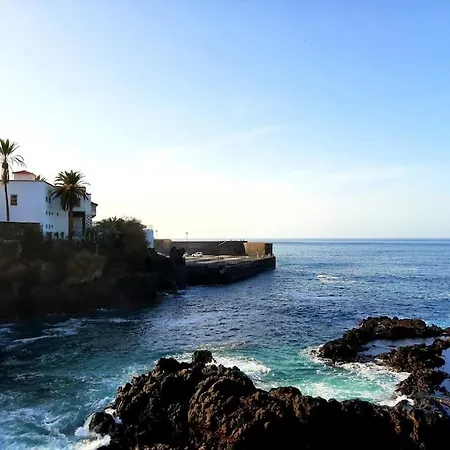 Ocean Orchidea Apartament