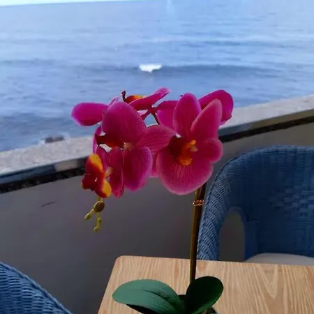 Apartament Ocean Orchidea Puerto de la Cruz (Tenerife)