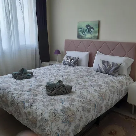 Ocean Orchidea * Puerto de la Cruz (Tenerife)